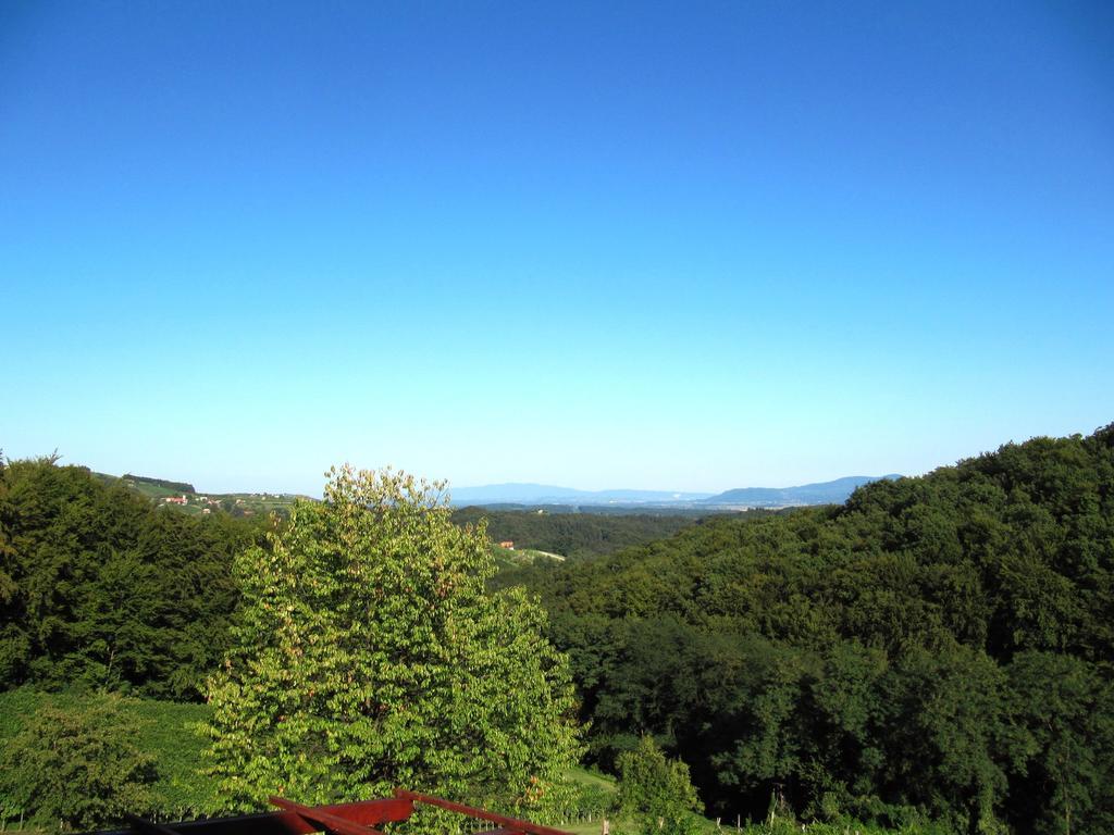 Cesnovar Holiday home *
