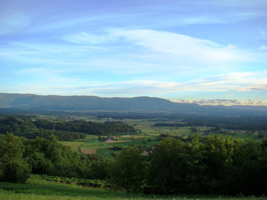 Holiday home Cesnovar *